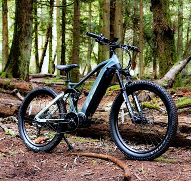 E-Biking & Camping in BC Parks: Your Ultimate Guide to Combining Adventures (Tips for bringing e-bikes, e-bike friendly campgrounds, and trail etiquette)