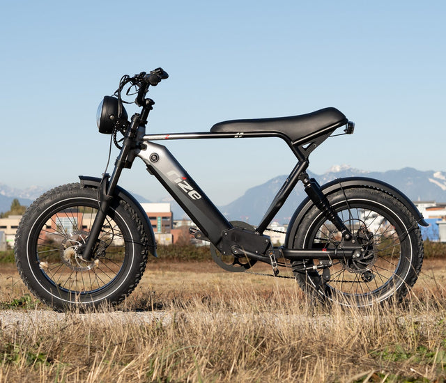 Best Electric Bikes Canada Rize Bikes Canada