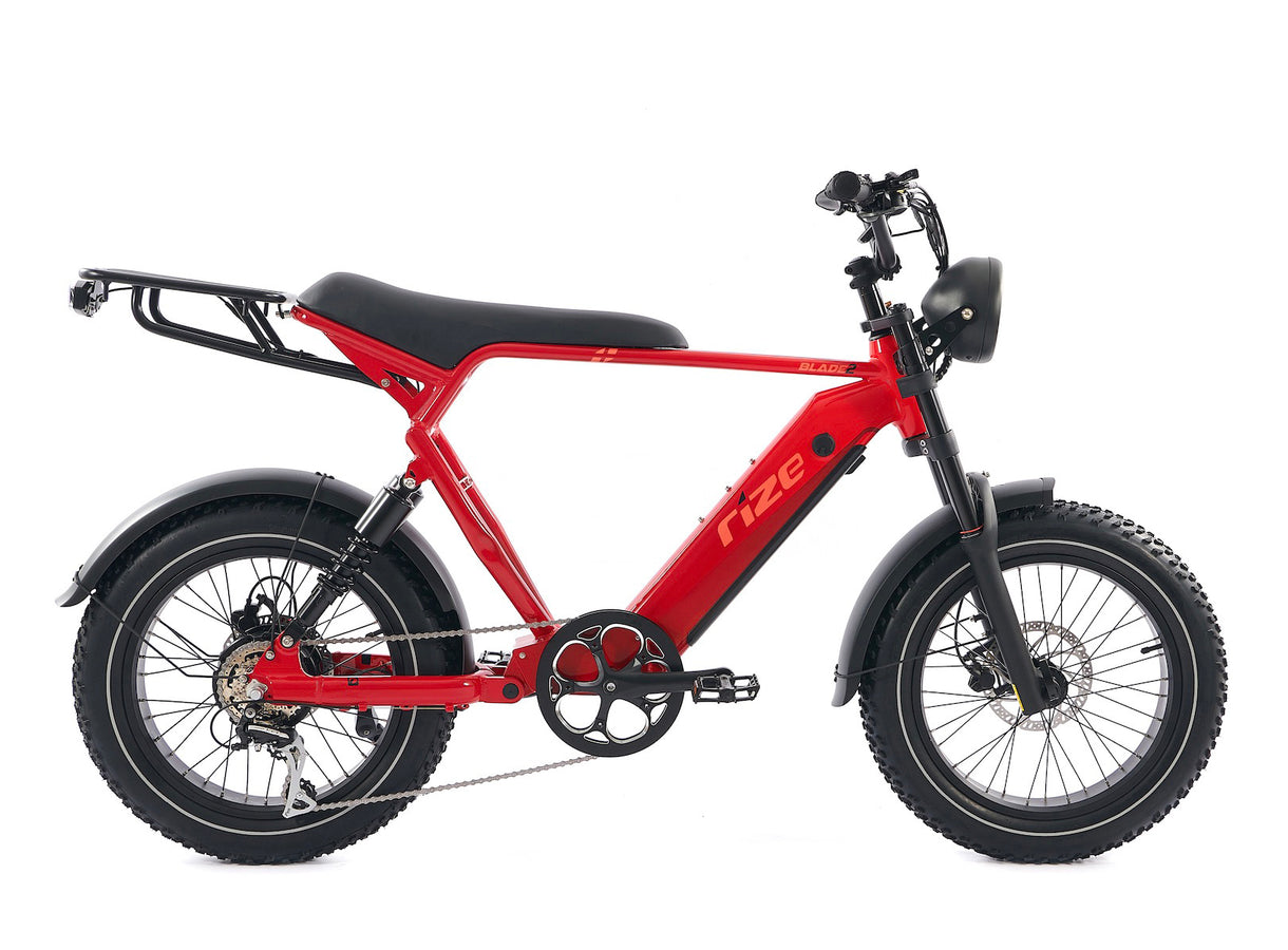 Vintage-Inspired Electric Bike: Elegance Meets High Performance – Rize ...
