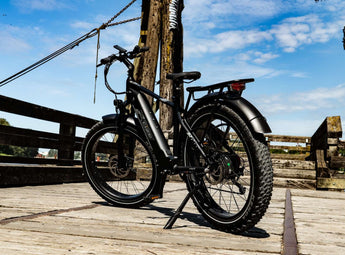 rixe elektrofahrrad test Rize X Electric Bike: Power Beyond Limits