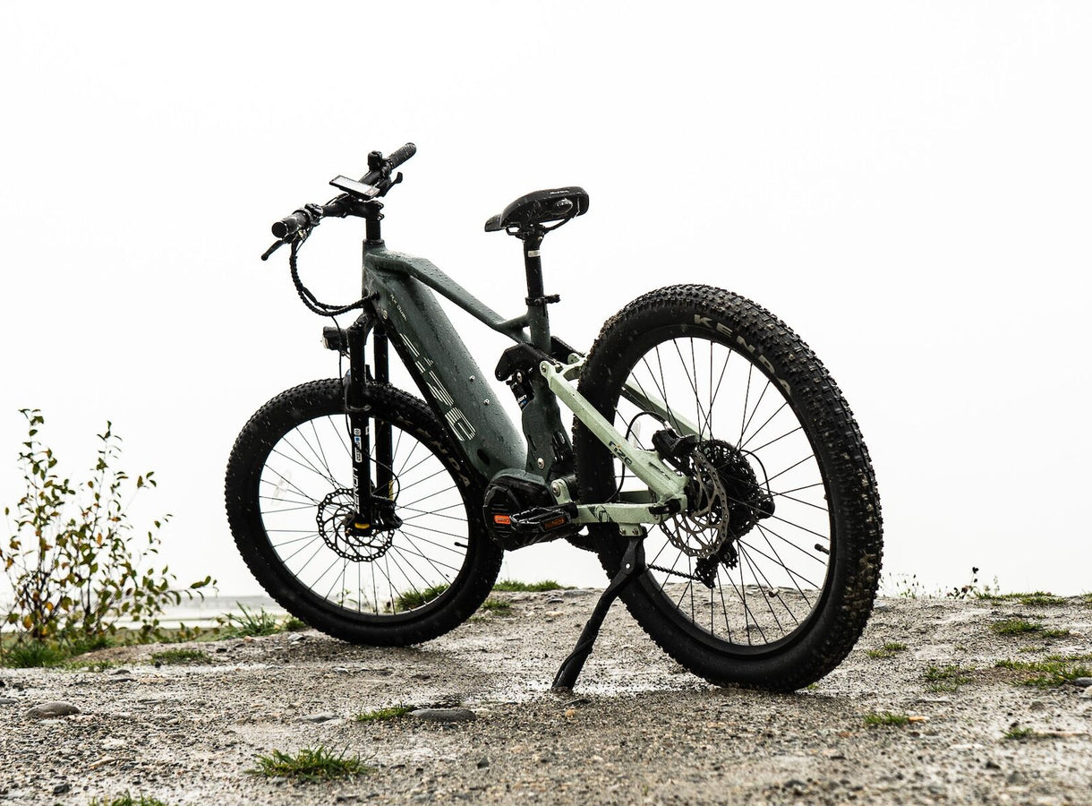 RX Dual 1000W eBike | Bafang M620 Full Suspension - Buy Now – Rize ...