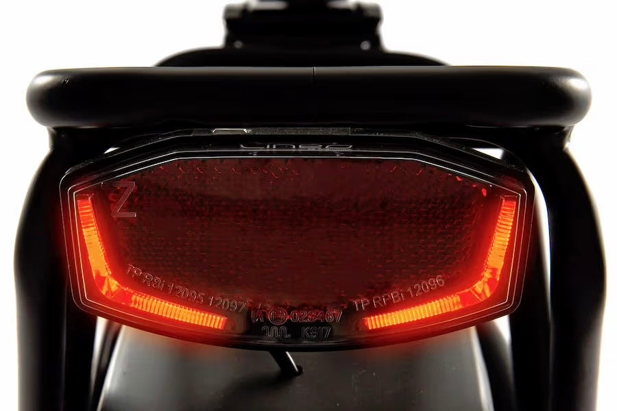 Evo Rize Rear Light Leisure E-Bike: Conquer Terrain with Rize - Financing Available! – Rize ...